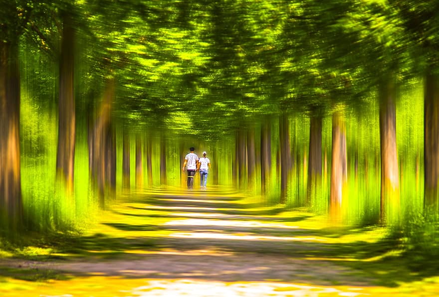 δάσος, ζευγάρι, κρατώντας τα χέρια, γυναίκα, άνδρας, το περπάτημα, φύση, ζωγραφική