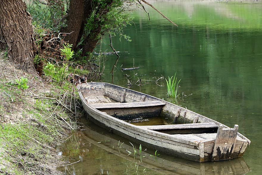 човен, сільський, води, старий, дерево, дерев'яні, природи, грязь, спокійний, озеро, ліс