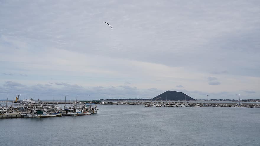 Jeju Island, rejse, turisme, udforskning, hav, havn, ocean, himmel, vand, nautiske fartøj, blå