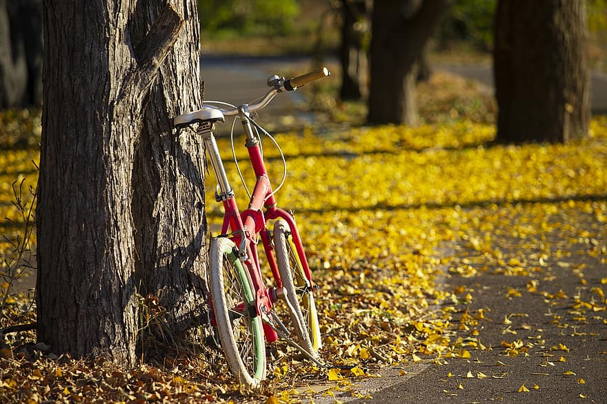 자전거, 떨어진 나뭇잎, 주차 자전거, 이파리, 잎, 단풍, 가을 단풍, 가을, 가을 잎, 가을 색, 노란 잎