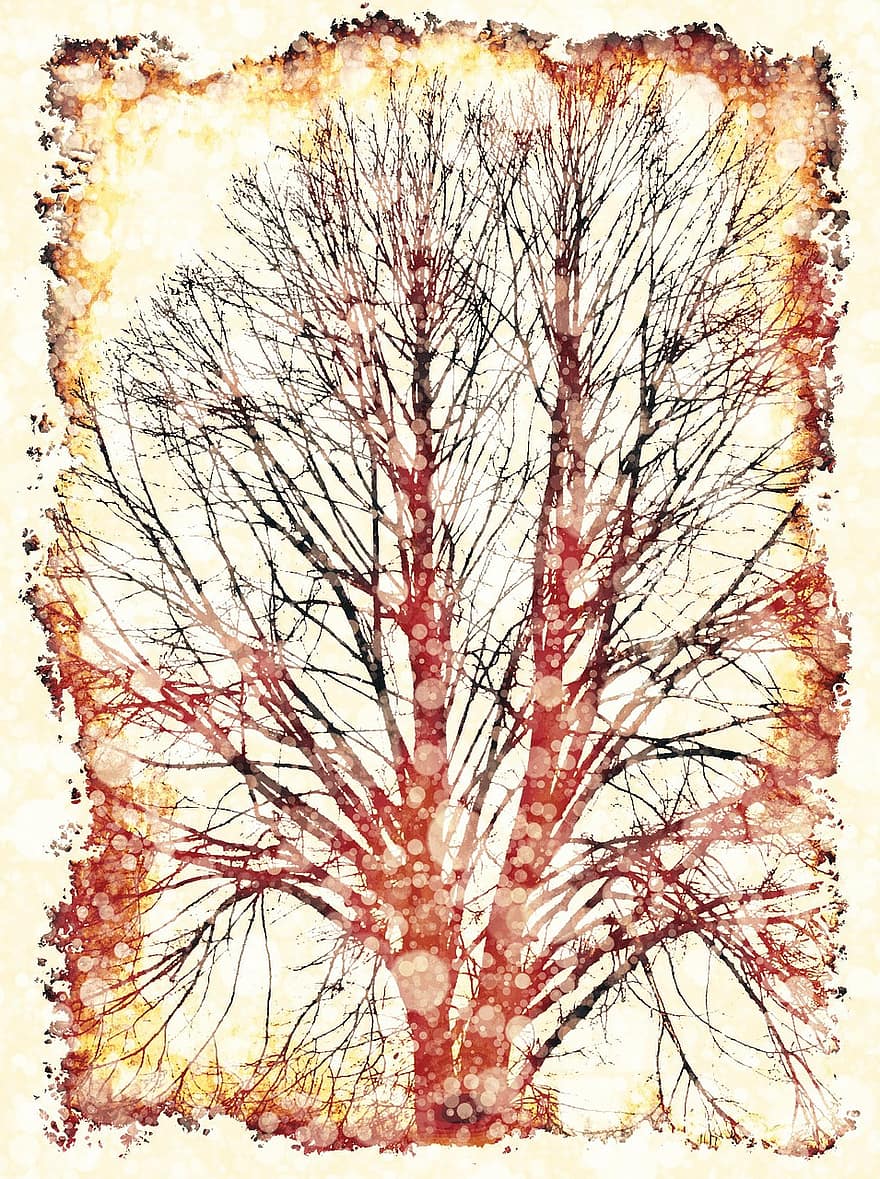 sfondo, albero, Kahl, carta, bordo, rinfrescato da, flora, biglietto d'auguri, modello, struttura