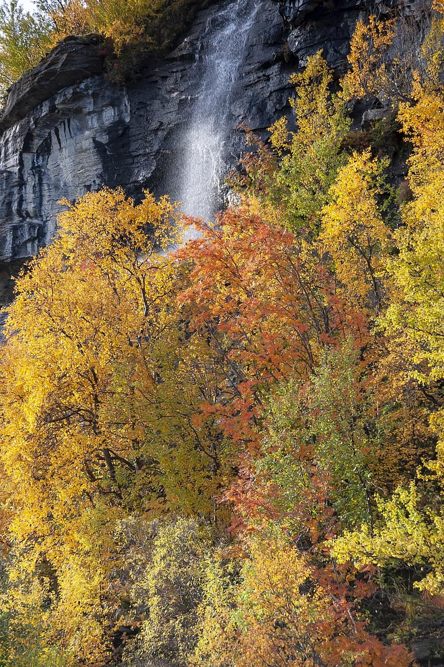 водопад, природа, осень, время года, падать, на открытом воздухе, лист, желтый, лес, дерево, пейзаж