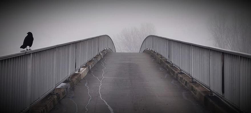 Bridge, Fog, Crow, Dark Atmosphere, Mystical Atmosphere, Nature, architecture, spooky, men, vanishing point, mystery