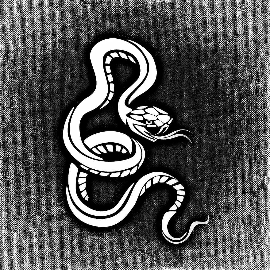serpente, pericoloso, sfondo