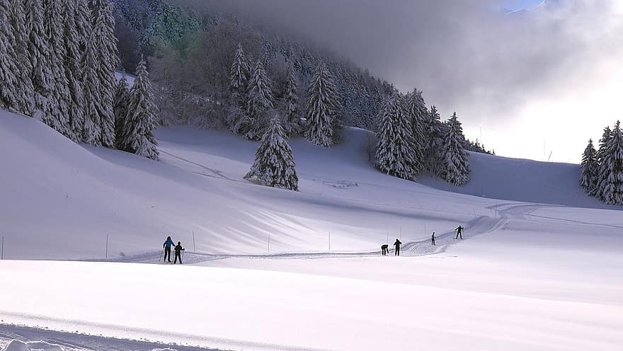 山、雪、トラック、アルペデュグランド温室、クロスカントリースキー、スキー、アルプス、森林、クリスマス、雪が多い、自然