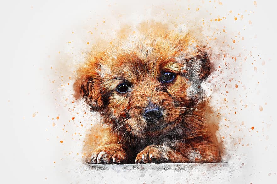 Dog, Puppy, Animal, Art, Abstract, Watercolor, Vintage, Colorful, Pet, Nature, T-shirt
