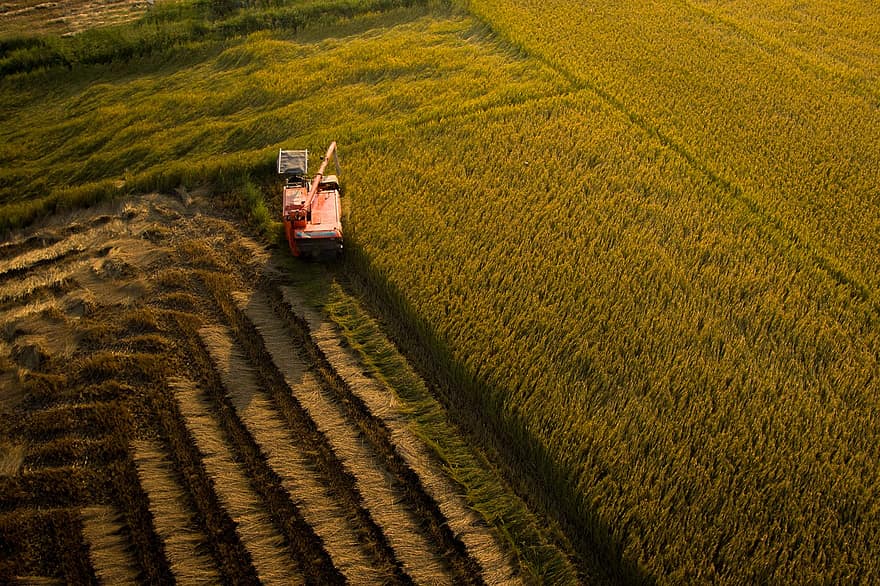 Farm, Da Nang, Agriculture, Arable Land, Fields, Farming, Plantation, Harvest, Harvesting, Combine Tractor, Aerial View