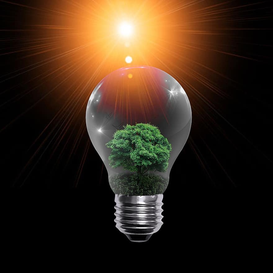 Lamp, Orange Light, Bulb, Nature, Tree, Green, Green Energy, Horizon, View, Drill, Opening