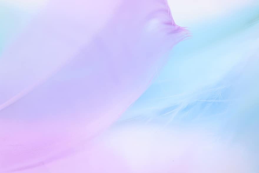 フェザー、壁紙、テクスチャ、抽象、軽量、紫の、きらきら、背景、青、パターン、ピンク色
