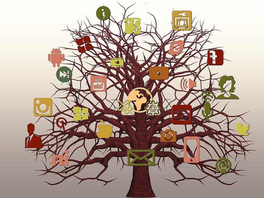 träd, strukturera, nät, internet, nätverk, social, socialt nätverk, logotyp, Facebook, Google, använda sociala nätverk