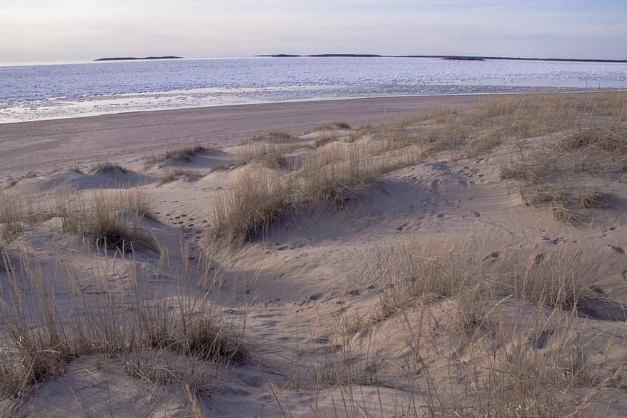 pláž, moře, led, zimní, písek, Studený, tráva, plískanice, Příroda, krajina, pori