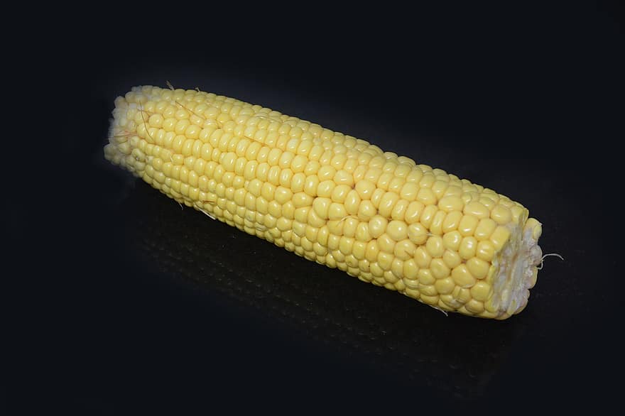 maíz, mazorca, maíz en la mazorca, agricultura, cosecha, Produce, orgánico, vegetal