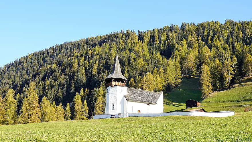 Chapel, Field, Countryside, Building, Church, Meadow, Larch, Trees, Woods, Davos