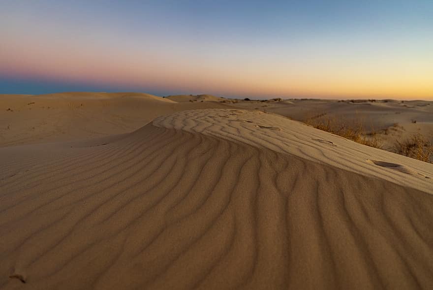 砂漠、砂、砂丘、日の出、自然、テキサス、風景、ドライ、乾燥気候、アフリカ、熱