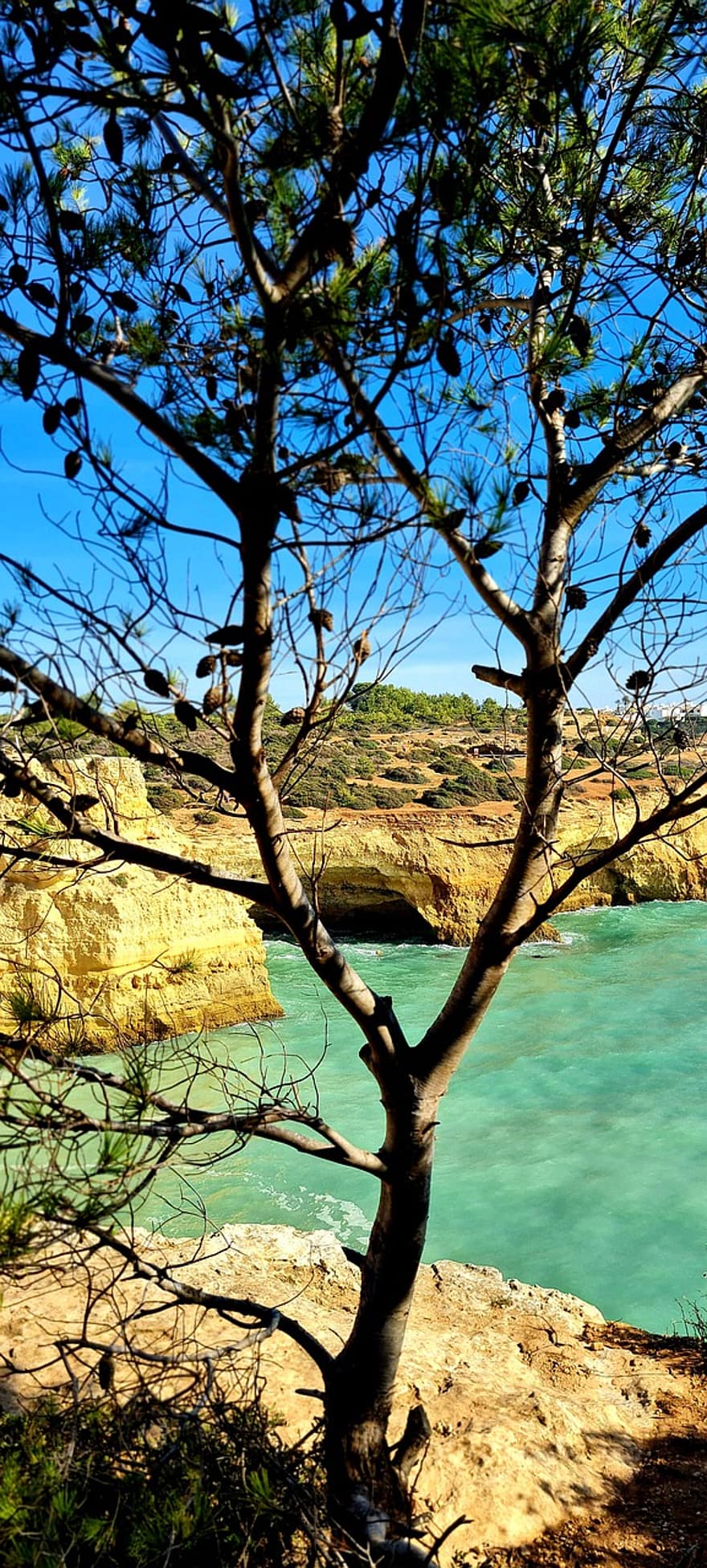 Algarve, oceano, escursione, viaggiare, mare costiero, roccia, paesaggio, natura, grotta, acqua, vacanze