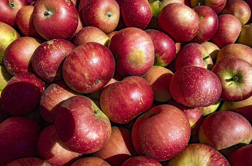 ябълка, здрав, прясно, ферма, храна, витамини, зрял, жътва, природа, селско стопанство, градина