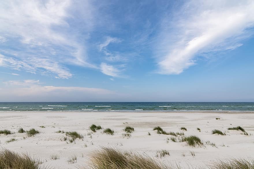 Strand, gress, kyst, shore, strandlinjen, sand, horisont, hav, natur