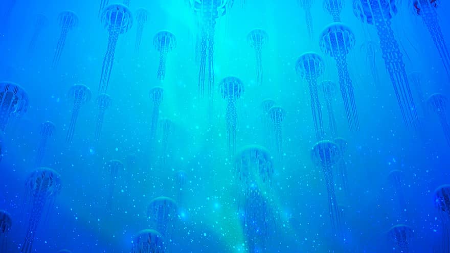медуза, океан, подводный, животное, рой, морская жизнь, море, природа, живая природа, воды, дайвинг