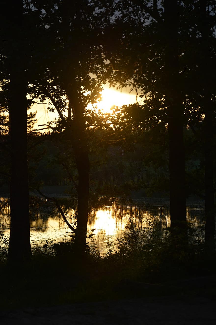 matahari terbenam, danau, pohon, refleksi, hutan, air, mirroring, malam, alam