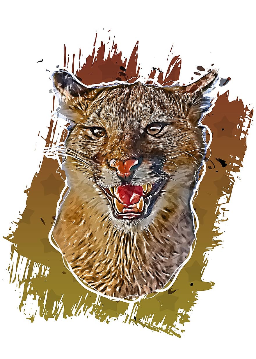 báo sư tử, puma, con mèo, động vật hoang dã, thú vật, động vật ăn thịt, động vật có vú, con sư tử núi