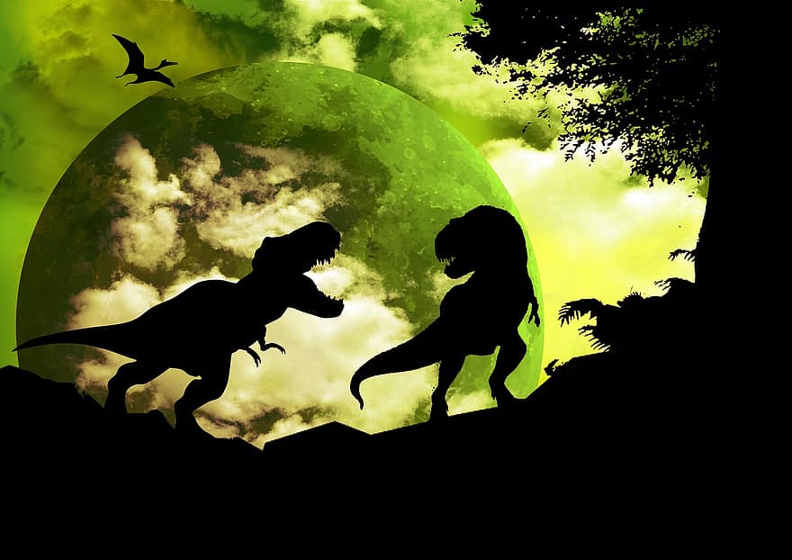t-rex, dino, dinosaure, depredador, carnívors, juràssic