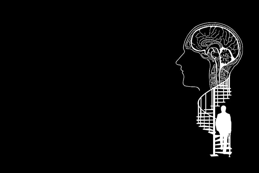 cérebro, cabeça, silhueta, escadas, escada em espiral, homem, gradualmente, subir