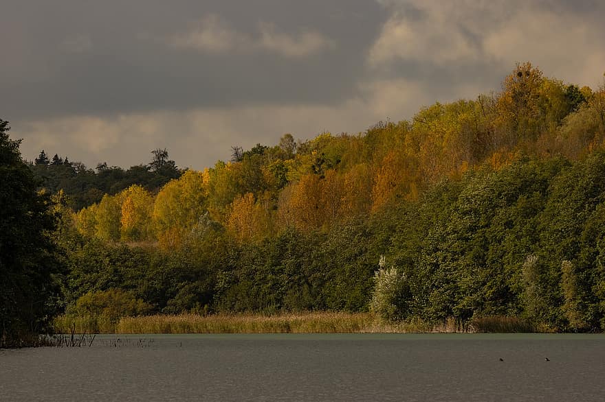 Lake, Trees, Bank, Forest, Woodlands, Woods, Clouds, Cloudy, Water, Landscape, Autumn