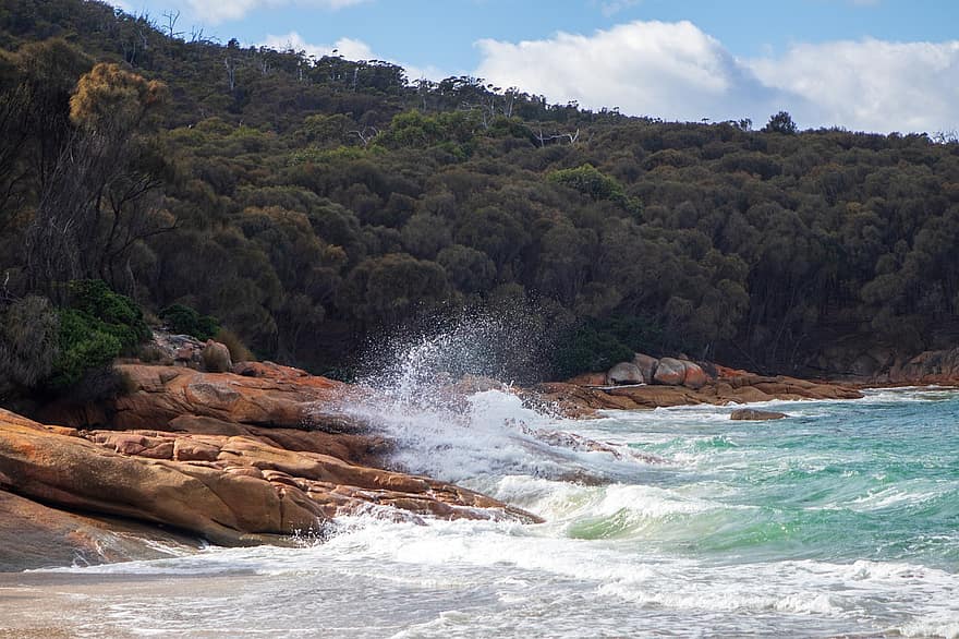 Tasmanien, strand, ø, udendørs, bølger, klippe, krak, spray, vand, kystlinje, bølge