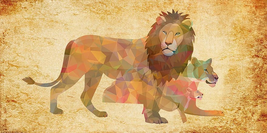 lev, zvíře, domácí mazlíčci, Vintage Lev, vinobraní, Puma, divoká kočka, puma, lvice, páry, bojovník