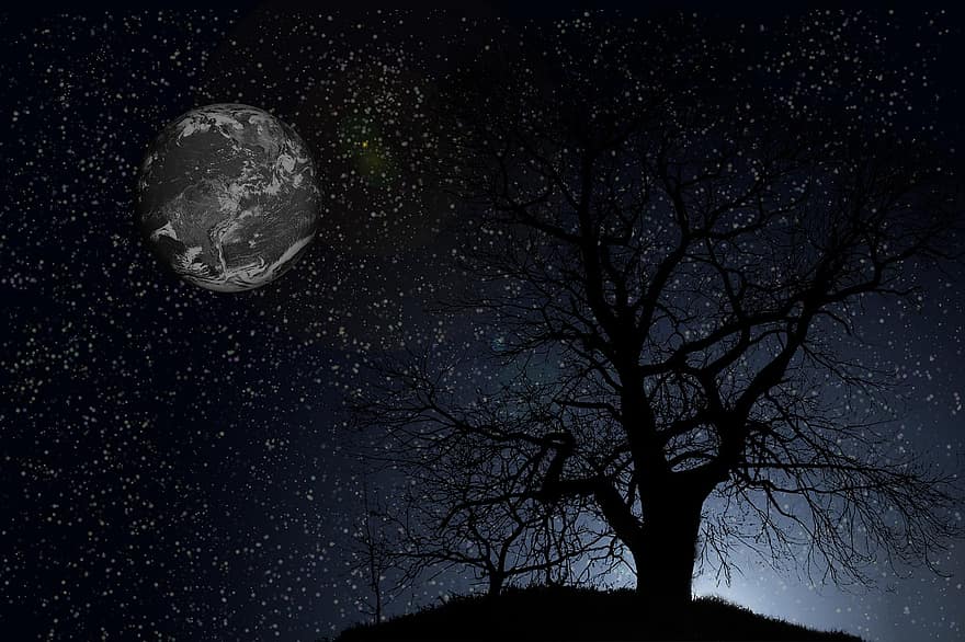 terra, arbre, nit, estrelles, llum, silueta, planeta, estrellat, cel nocturn, espai, cosmos