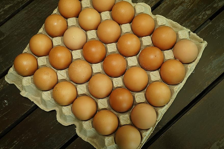 яйца, черупки от яйца, поднос, храна, хранене, съставки, търговска кухня