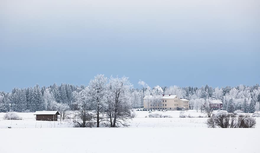invierno, nieve, paisaje, pueblo, noche polar, casa, Finlandia, cabaña, bosque, árbol, escarcha