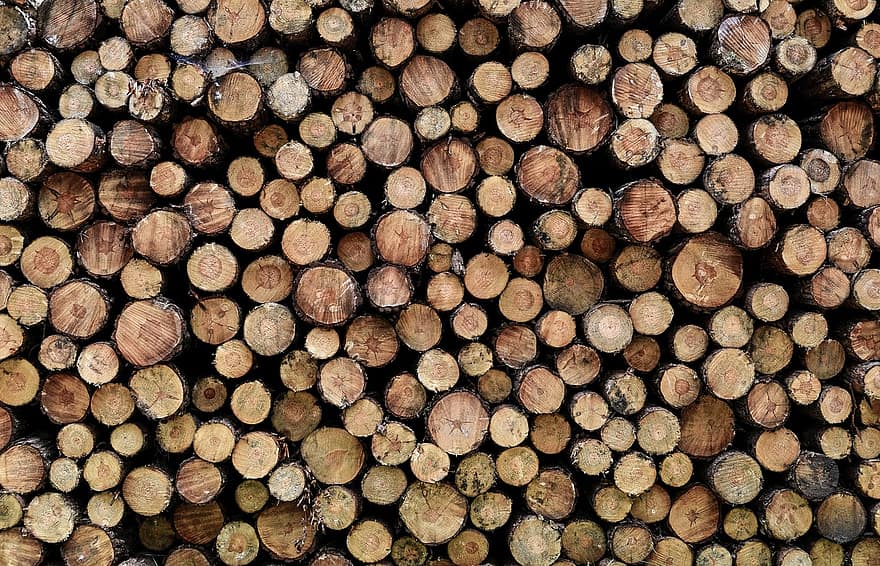 Wood, Tree, Forestry, Stacked, Background, Wood Industry