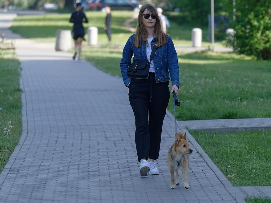 femeie, câine, mers, animal de companie, ochelari de soare, zgardă, împreună, trotuar, urban, cale, animale de companie