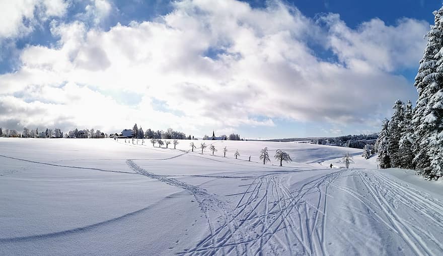 inverno, natureza, temporada, neve, esqui, arvores, ao ar livre, céu, nuvens, corrida de esqui cross-country, floresta