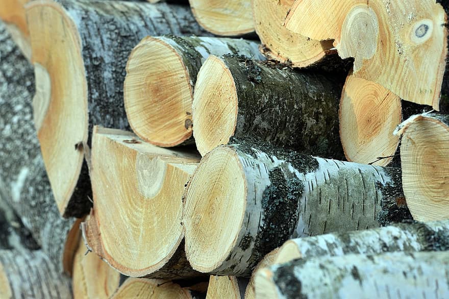 Birch, Wood, Pile, Tree, Firewood, Bark, Nature, Fuel Wood, Blocks, Stack, Forest