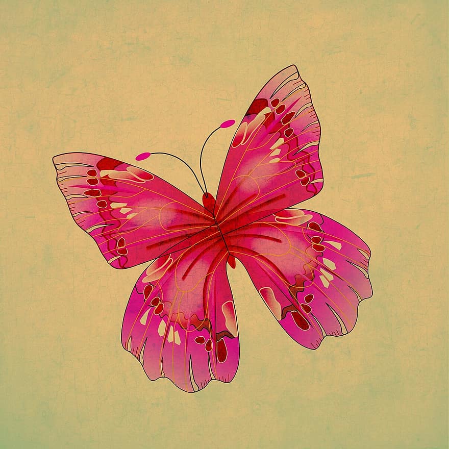 farfalla, insetto, rosa, rosso, Vintage ▾, sfondo, piastrella, arte, anziano, graffiato, afflitto
