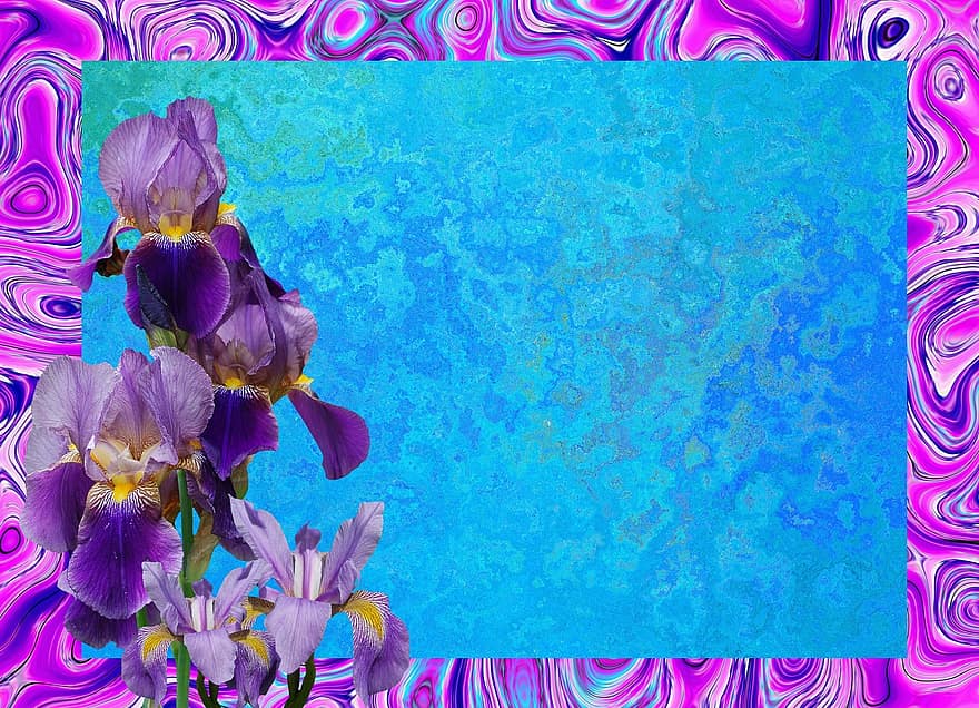 Iris, Blossom, Bloom, Violet, Plant, Nature, Close Up, Flora, Purple, Blue