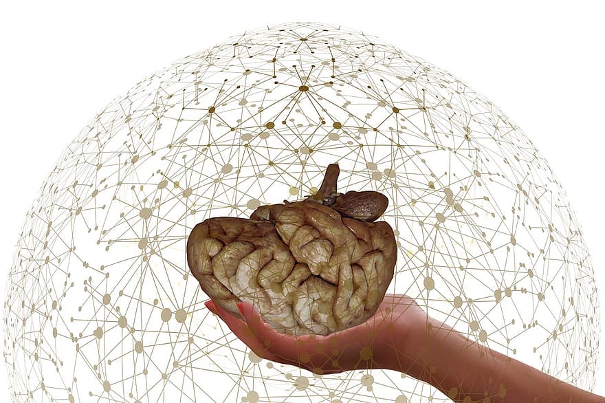 мозък, мрежа, Връзка, ръка, трансформация, дигитален, Информатика, бита, мрежи