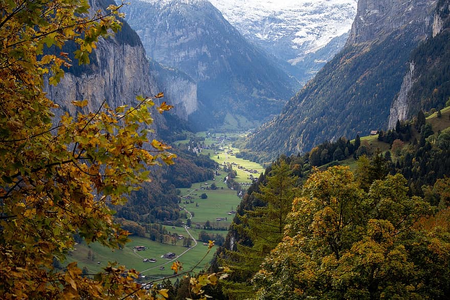 hory, údolí, stromy, les, listy, švýcarsko, lauterbrunnen