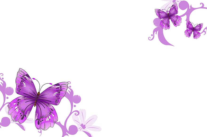 papillons, violet