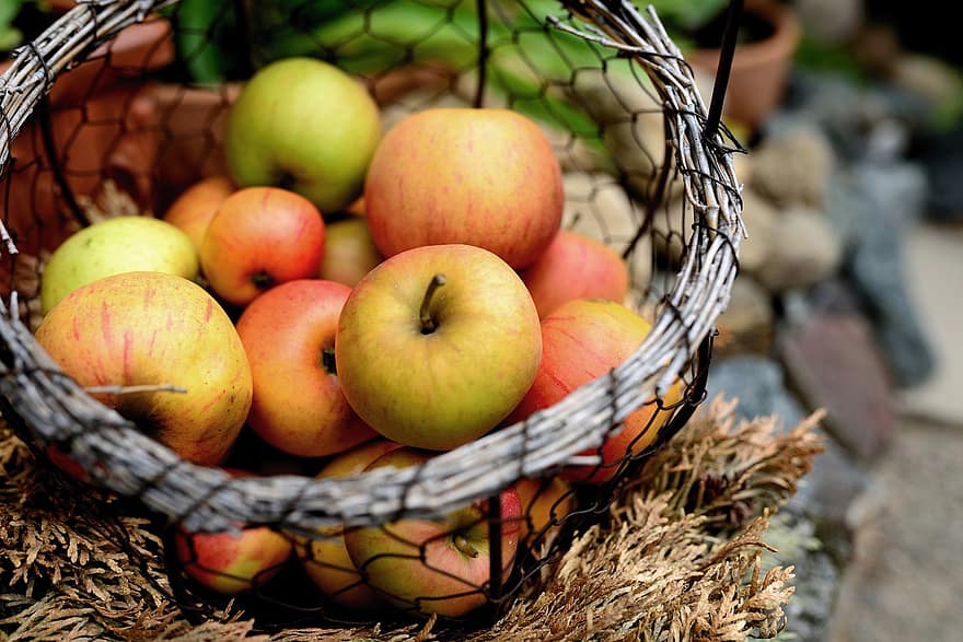 jabłka, owoc, jedzenie, zdrowy, świeży, dojrzały