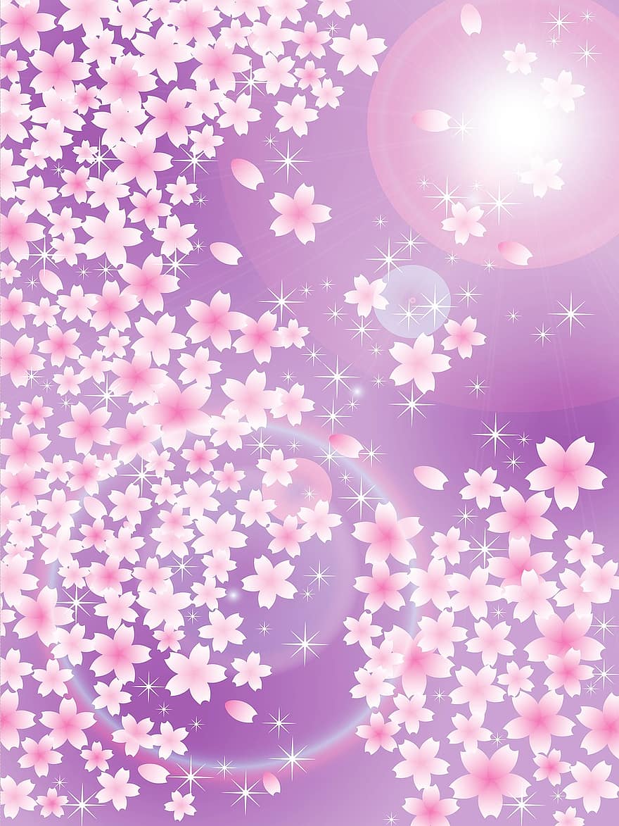 Fond de Sakura japonais, fleurs de cerisier, fleurs roses, rose, printemps, fleurs, branche, Floraison, fleur, arbre, la nature