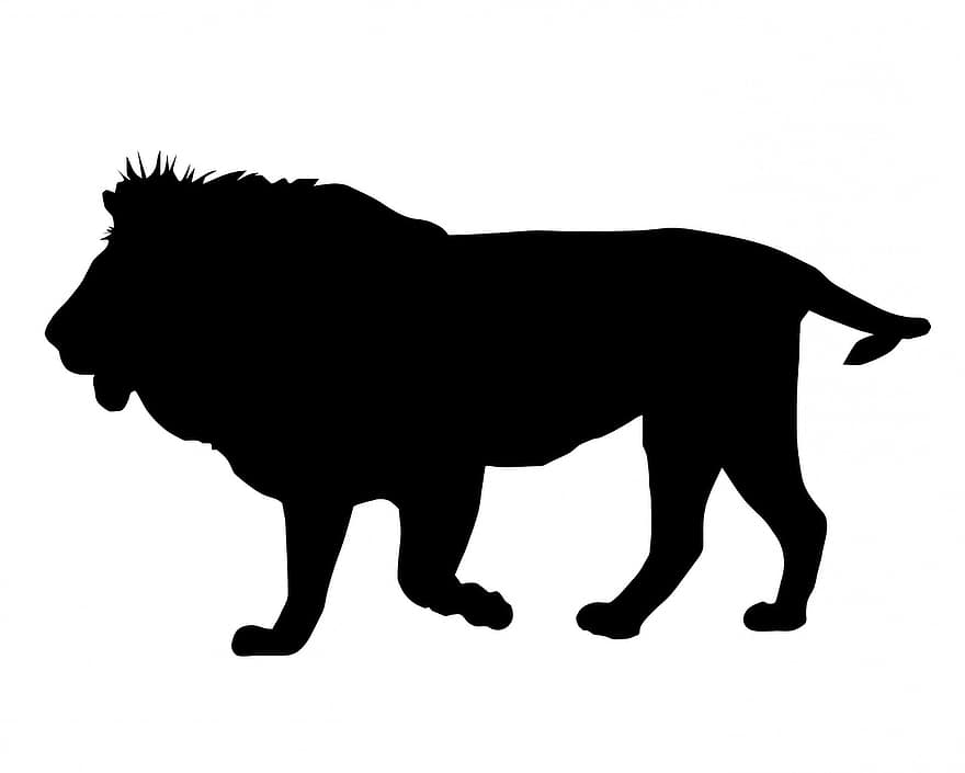 ライオン、黒、シルエット、動物、男性、雄ライオン、野生、野生動物、自然
