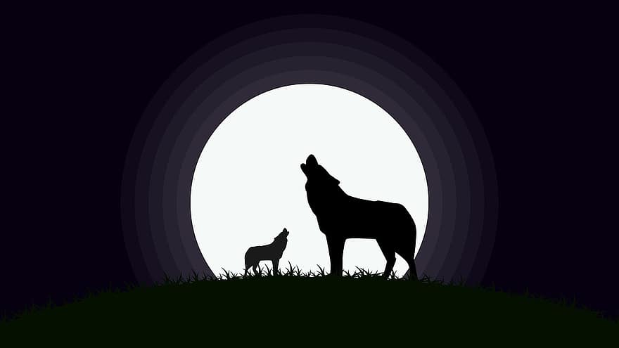 満月、狼、月、オオカミ、夜、シルエット、風景、空、自然、狼男、動物