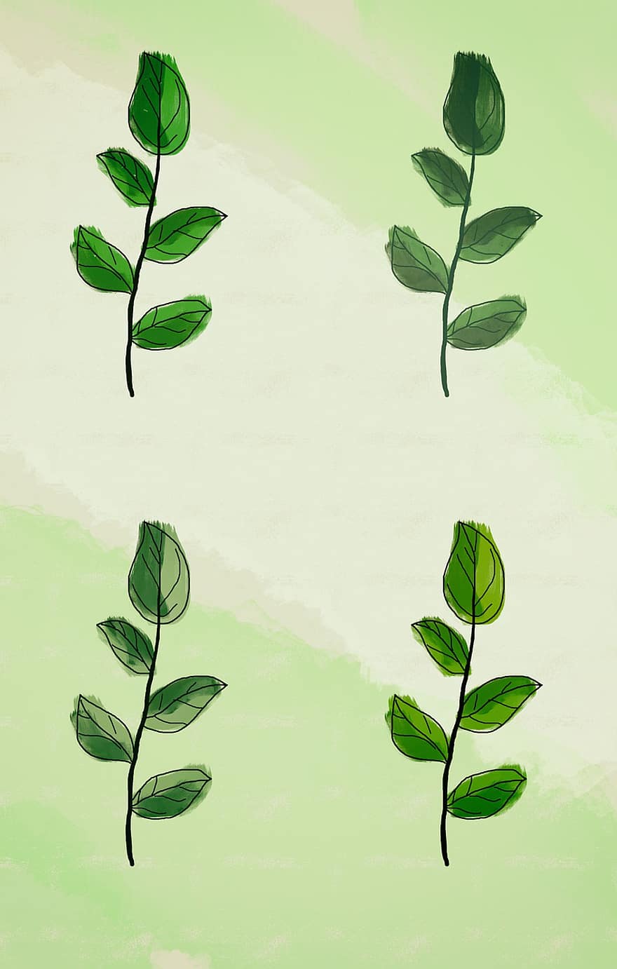 листья, ветка, природа, дизайн, Рисование, рост