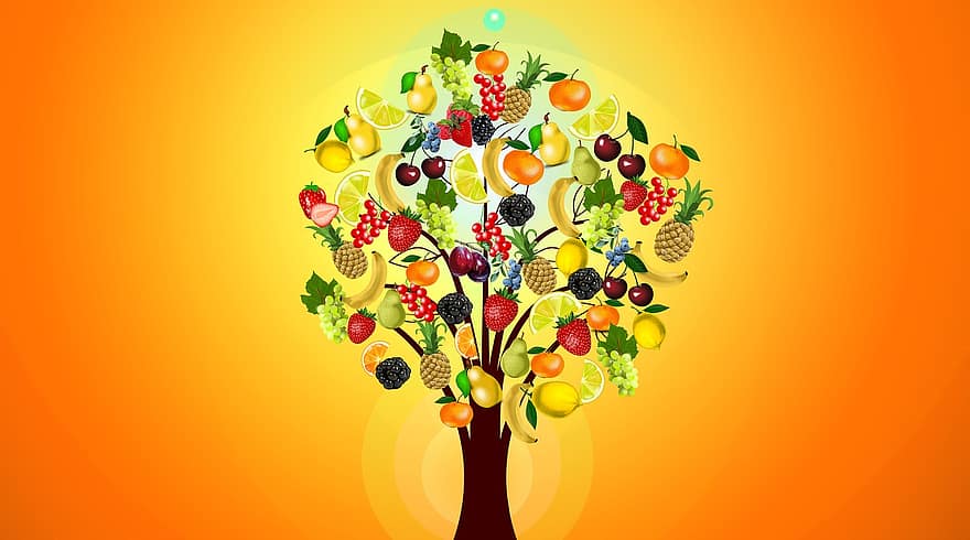 fruta, árvore frutífera, saúde, vitaminas, cerejas, limão, laranja, framboesa, Amora, pera, banana
