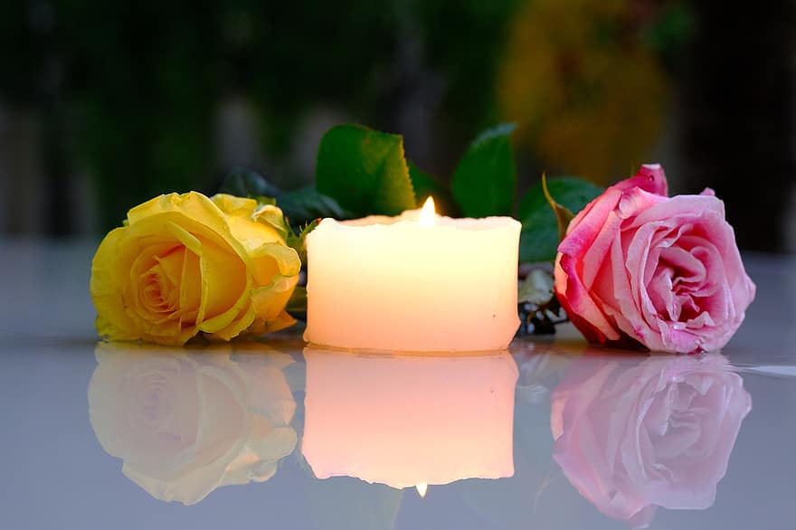 Roses, Candle, Reflection, Flowers, Pair, Petals, Rose Petals, Bloom, Blossom, Rose Bloom, Candelight