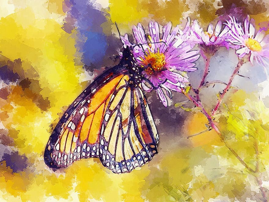 fjäril, fjärilar, monark, insekt, insekter, buggar, trollslända, blomma, natur, djur-, sommar