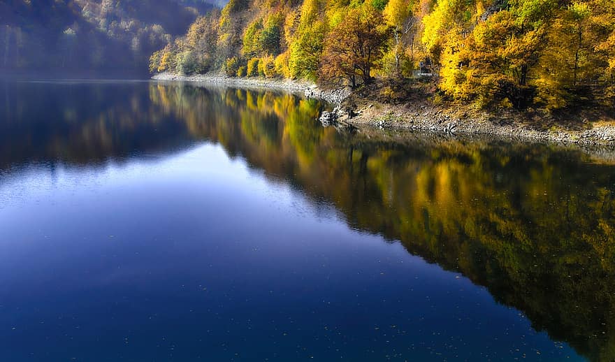 湖、森林、秋、木、自然、水、反射、森の中、青、風景、黄